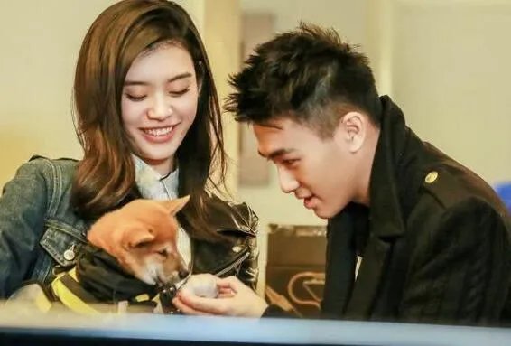 何猷君否认奚梦瑶怀二胎是怎么回事 何猷君为什么否认奚梦瑶怀二胎