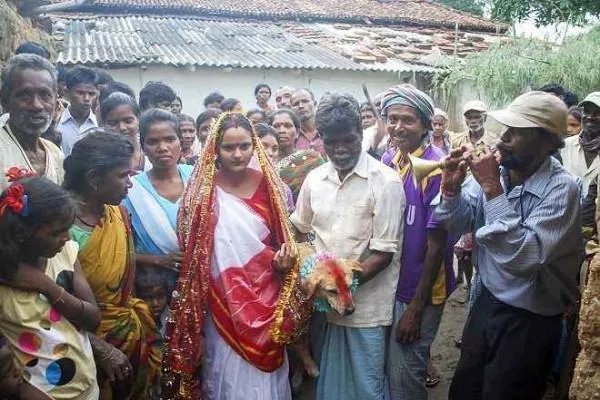 印度最奇葩部落，女子牙口不好就要与狗结婚，为何如此“奇葩”？