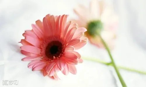 2020年一分一段表怎么换算位次