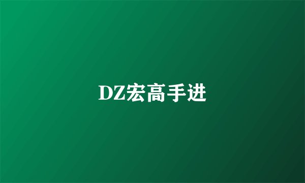 DZ宏高手进