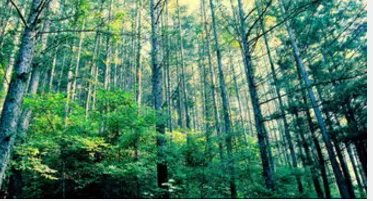 抚顺十大旅游景点大全