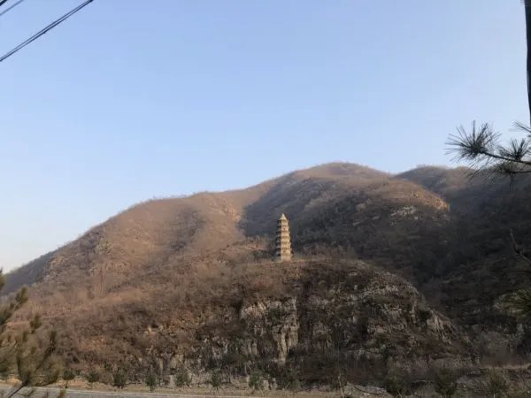 六岁小狂仙为什么不更了？