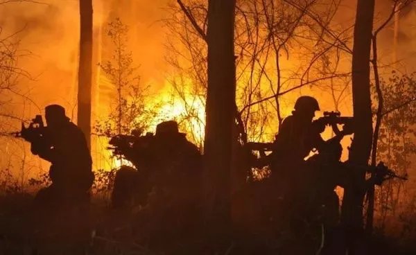 我是特种兵评价怎么样？