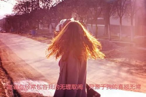 柳汐裴煜宁(完本小说)全文免费阅读