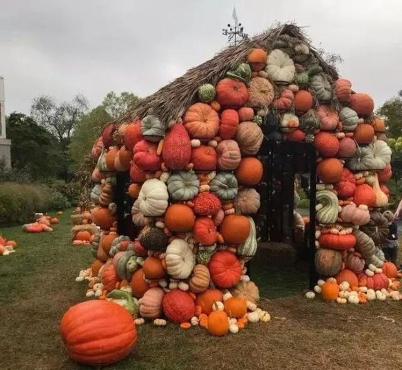 热带雨林惊现鲸鱼尸骨！27张千年一遇的神奇巧合照片