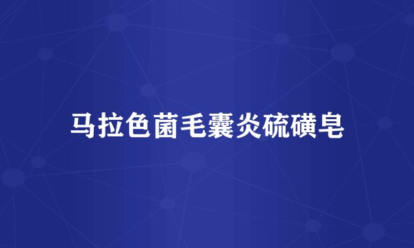 马拉色菌毛囊炎硫磺皂