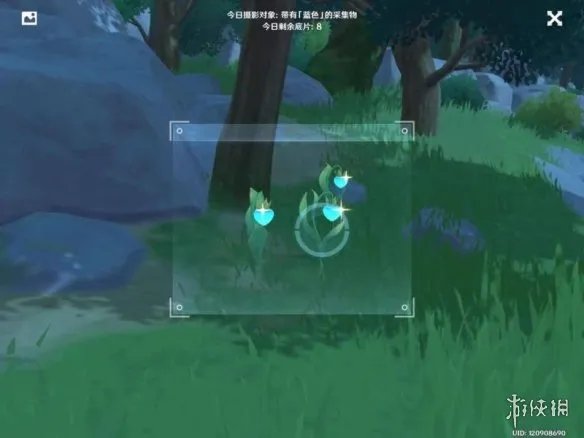 《原神手游》蓝色采集物有哪些 蓝色采集物拍摄位置介绍