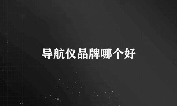 导航仪品牌哪个好