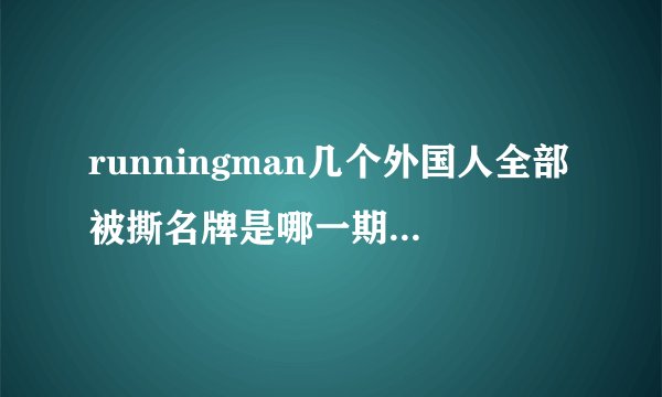 runningman几个外国人全部被撕名牌是哪一期，求解？