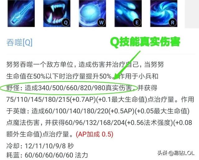 锤石抢大龙图片大全