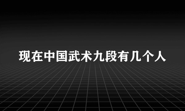 现在中国武术九段有几个人
