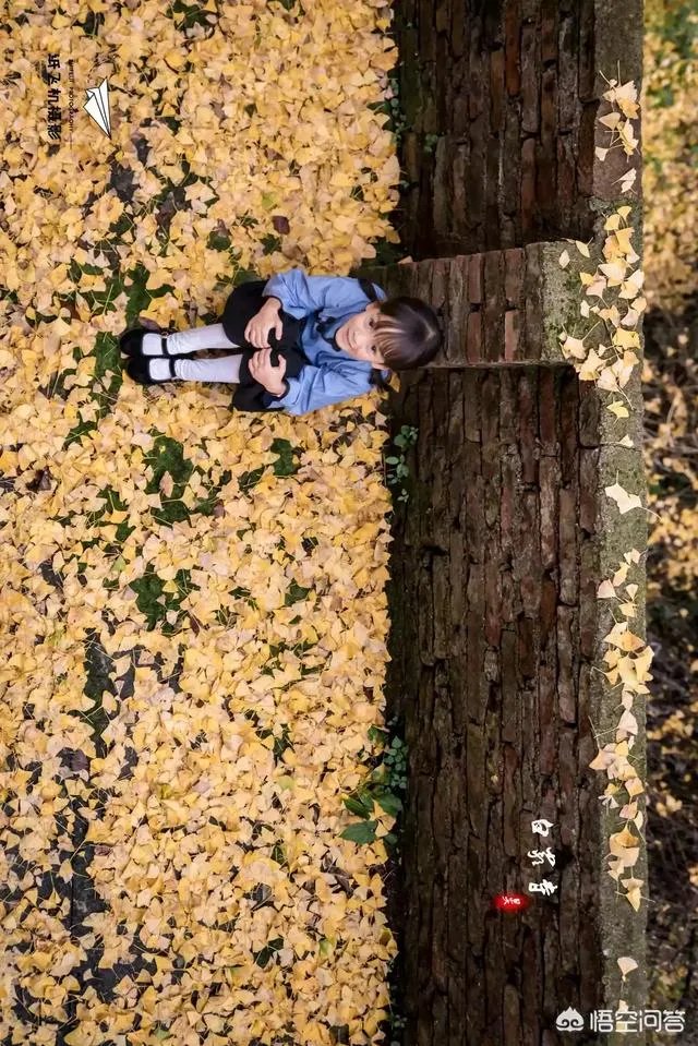 拍儿童摄影，怎样才能拍出有意思的童趣？