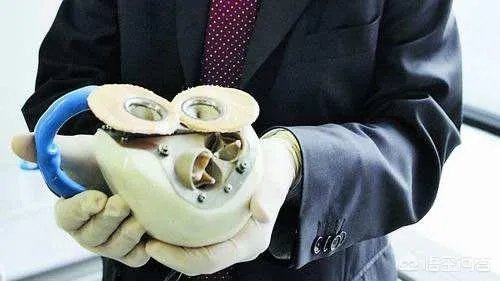 想象一下未来人类会进化成什么样子？