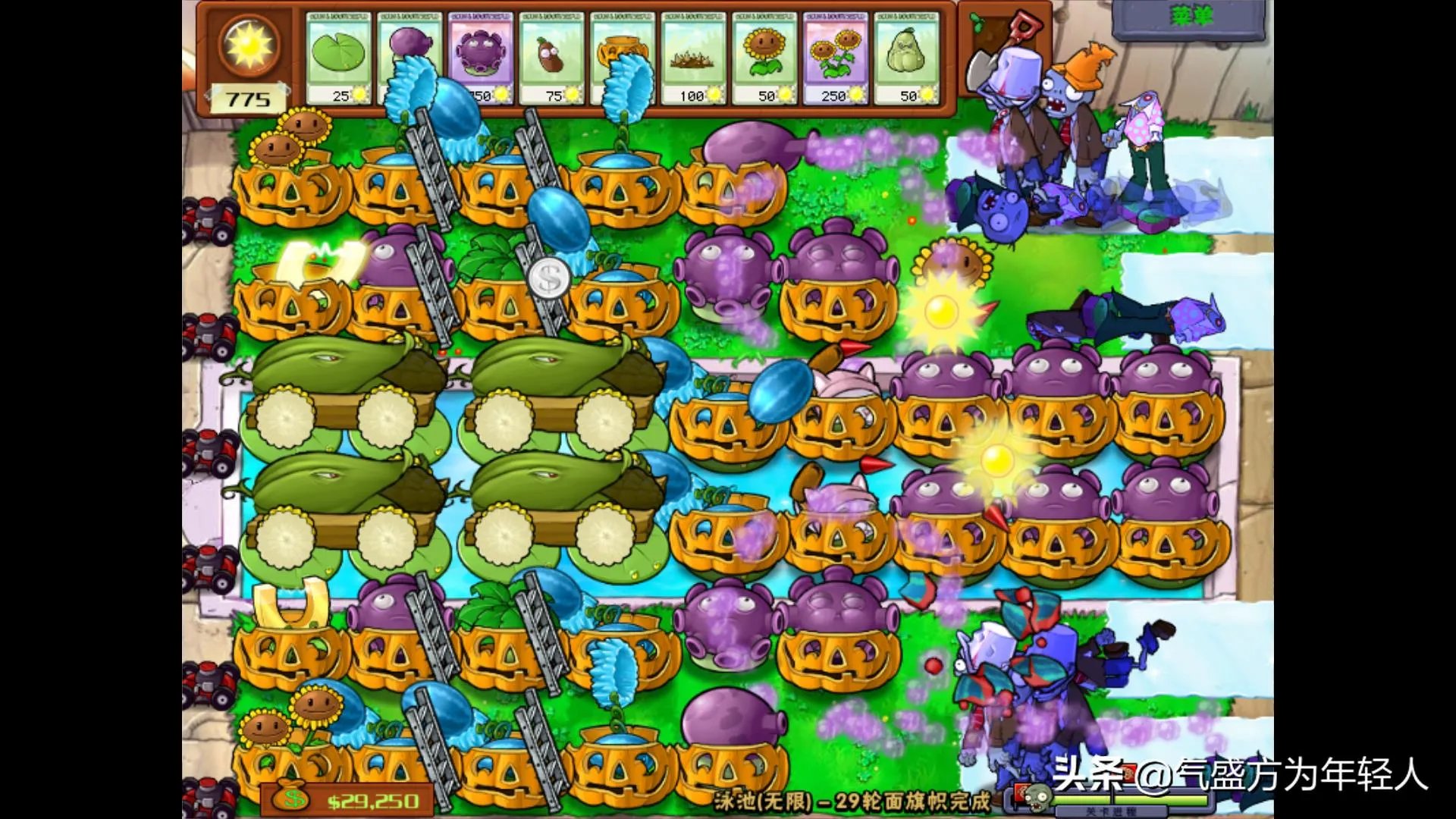 植物大战僵尸攻略大全图解（最佳阵型分析）