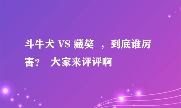 斗牛犬 VS 藏獒  ，到底谁厉害？  大家来评评啊