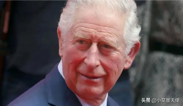 如何看待查尔斯王子确诊新冠肺炎?