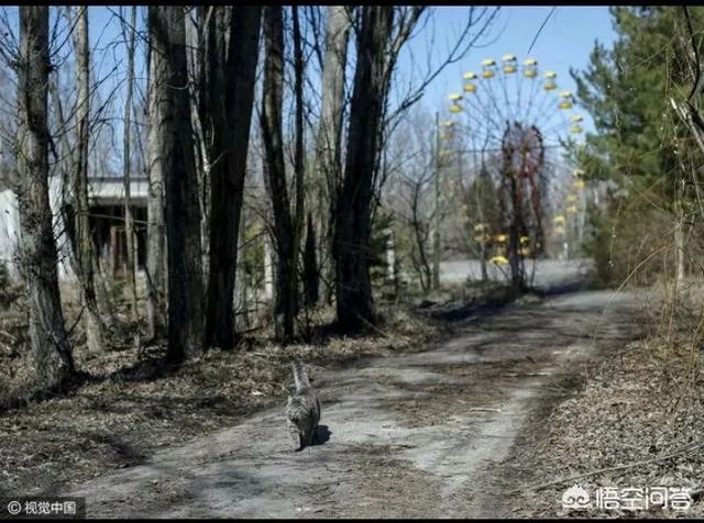 为什么古时候说有九个太阳，是真的吗？