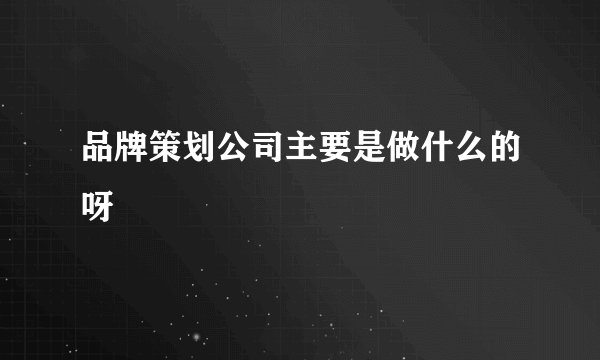 品牌策划公司主要是做什么的呀