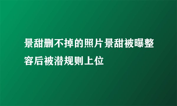 景甜删不掉的照片景甜被曝整容后被潜规则上位