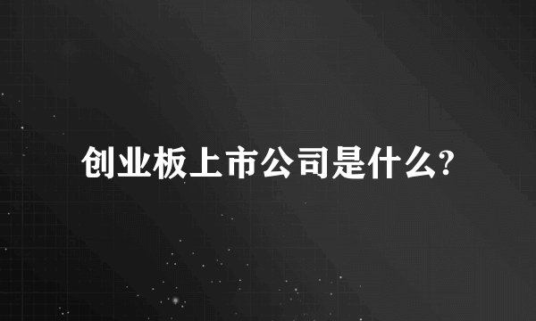创业板上市公司是什么?