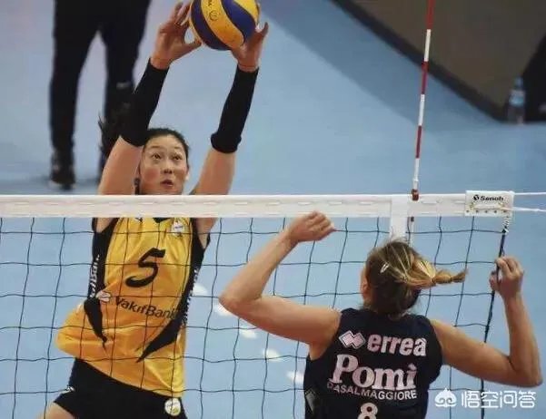 土超女排豪门瓦基弗银行队正式官宣朱婷续约，四大主力留队，如何看待朱婷的选择？