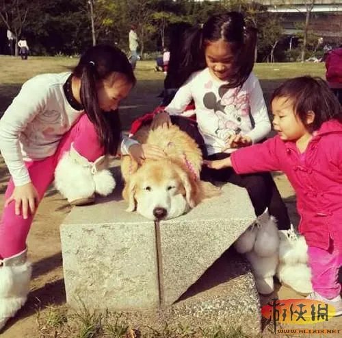 小S女儿被骂很土 小S三个女儿出镜大PK真的很土