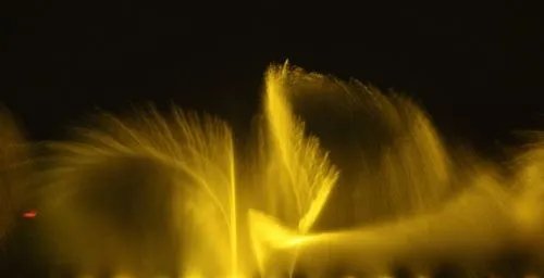 深圳到肇庆七星岩鼎湖山二日游