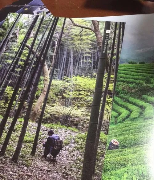 旧物改造之自制垃圾桶