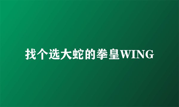 找个选大蛇的拳皇WING