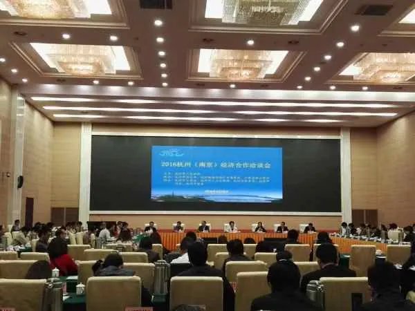 江苏金辉集团公司的简介