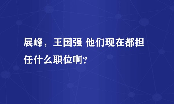 展峰，王国强 他们现在都担任什么职位啊？