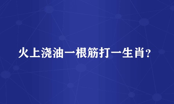 火上浇油一根筋打一生肖？