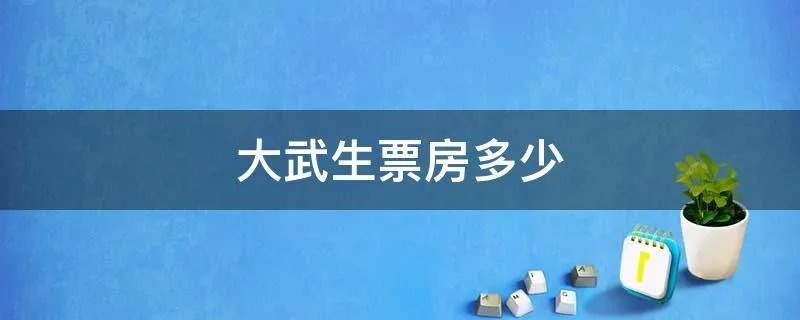 大武生票房多少