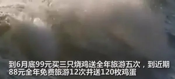为什么运城文旅局局长会选择买烧鸡送免费旅游？