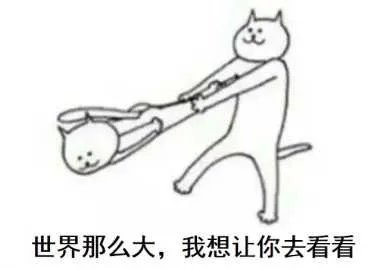 旅行青蛙为什么这么火 为什么大家都在玩青蛙游戏