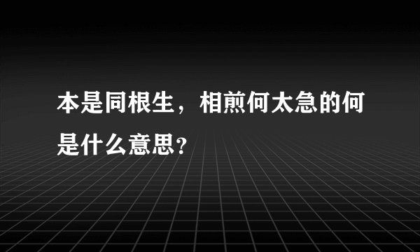 本是同根生，相煎何太急的何是什么意思？