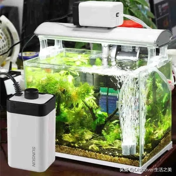 鱼缸增氧泵开的越大越好吗？