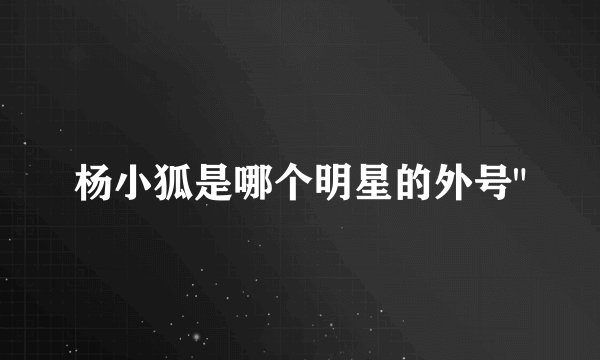 杨小狐是哪个明星的外号