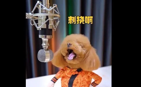 哎呀刺挠啊闹心吧啦什么歌？