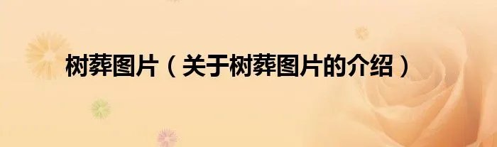 树葬图片（关于树葬图片的介绍）