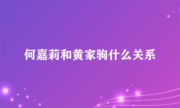 何嘉莉和黄家驹什么关系