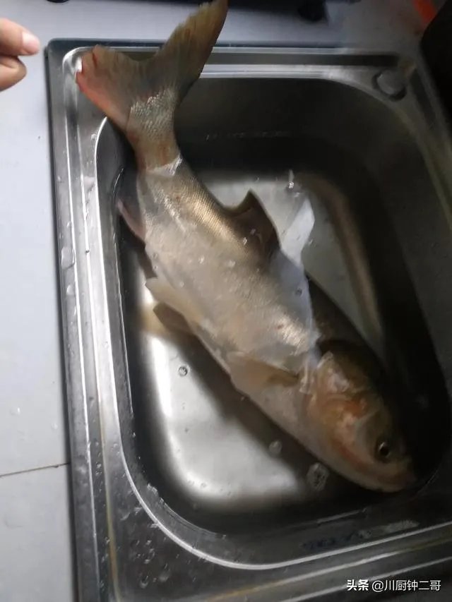 酸菜鱼到底是属于哪里的一道菜，有的说是四川，而有的说是湖南？有什么历史？