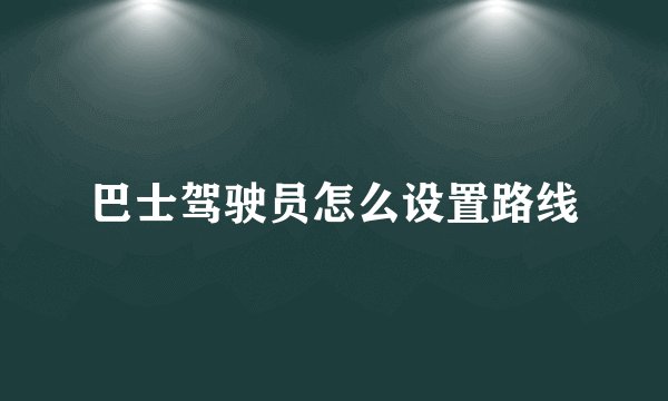 巴士驾驶员怎么设置路线