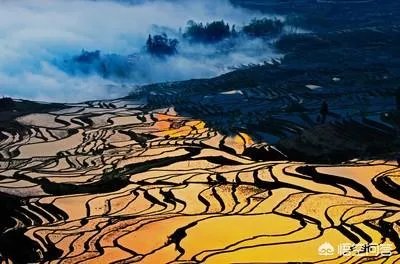 你觉得国内哪些旅游景点是摄影创作团队最爱去的？