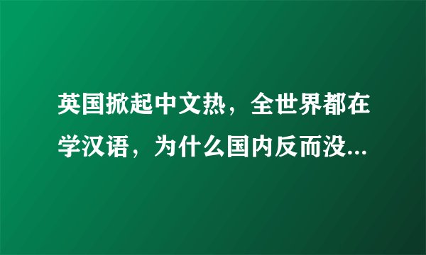 英国掀起中文热，全世界都在学汉语，为什么国内反而没那么重视语文学习？