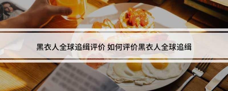 黑衣人全球追缉评价 如何评价黑衣人全球追缉