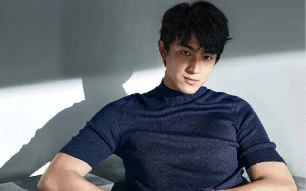 林更新都演过哪些好看的影视剧？