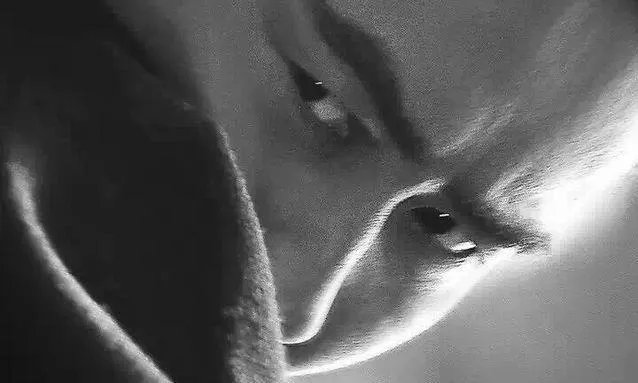 怎么看待吴秀波,大叔真的这么吃香吗?