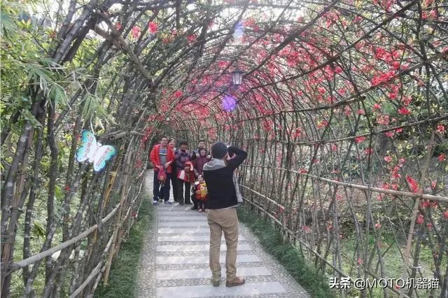 绵阳农家乐推荐