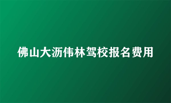 佛山大沥伟林驾校报名费用